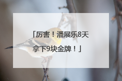 厉害！潘展乐8天拿下9块金牌！