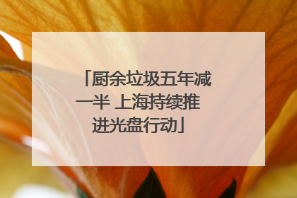 厨余垃圾五年减一半 上海持续推进光盘行动