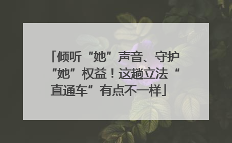 倾听“她”声音、守护“她”权益！这趟立法“直通车”有点不一样