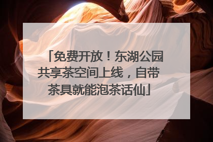 免费开放！东湖公园共享茶空间上线，自带茶具就能泡茶话仙