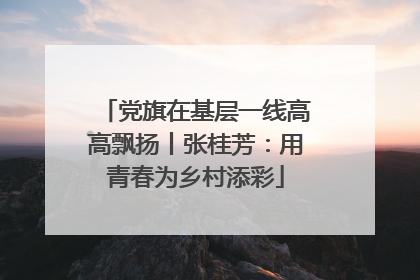 党旗在基层一线高高飘扬丨张桂芳：用青春为乡村添彩