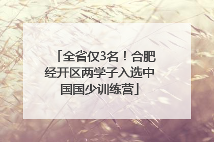 全省仅3名！合肥经开区两学子入选中国国少训练营