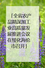 全省农产品精深加工业高质量发展推进会议在绥化海伦市召开