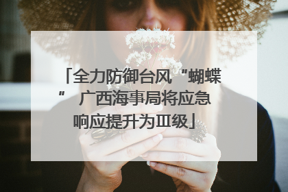 全力防御台风“蝴蝶” 广西海事局将应急响应提升为Ⅲ级