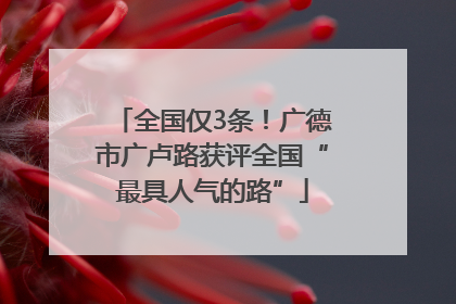 全国仅3条！广德市广卢路获评全国“最具人气的路”