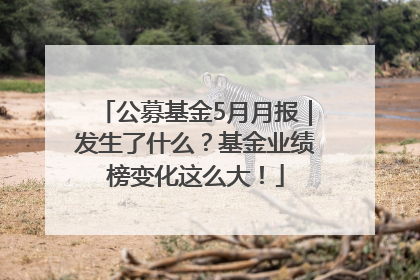 公募基金5月月报｜发生了什么？基金业绩榜变化这么大！