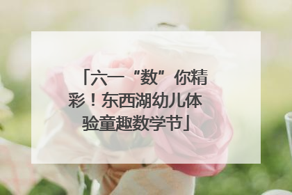 六一“数”你精彩！东西湖幼儿体验童趣数学节