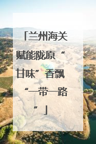 兰州海关赋能陇原“甘味”香飘“一带一路”