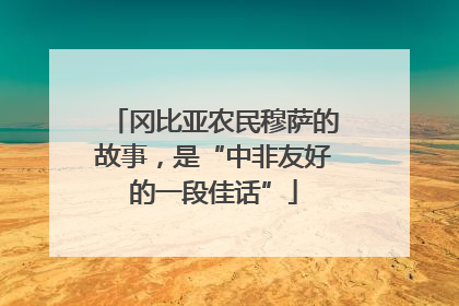 冈比亚农民穆萨的故事，是“中非友好的一段佳话”