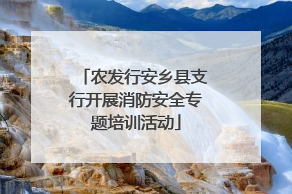 农发行安乡县支行开展消防安全专题培训活动