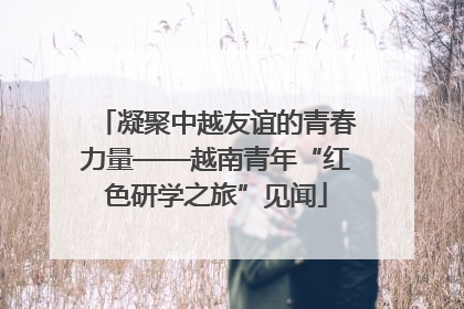 凝聚中越友谊的青春力量——越南青年“红色研学之旅”见闻