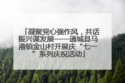 凝聚党心强作风，共话振兴谋发展——通城县马港镇金山村开展庆“七一”系列庆祝活动