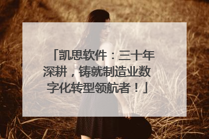 凯思软件：三十年深耕，铸就制造业数字化转型领航者！