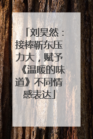 刘昊然：接棒靳东压力大，赋予《温暖的味道》不同情感表达
