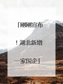 刚刚宣布！湖北新增一家国企