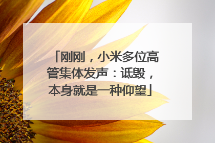 刚刚，小米多位高管集体发声：诋毁，本身就是一种仰望