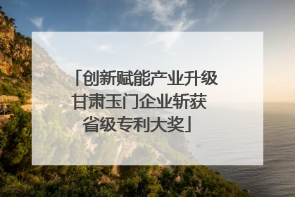 创新赋能产业升级 甘肃玉门企业斩获省级专利大奖