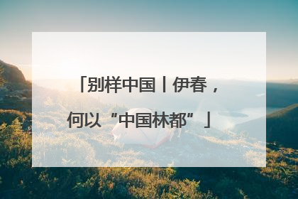 别样中国丨伊春，何以“中国林都”