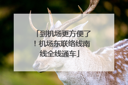 到机场更方便了！机场东联络线南线全线通车