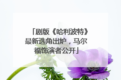 剧版《哈利波特》最新选角出炉，马尔福饰演者公开