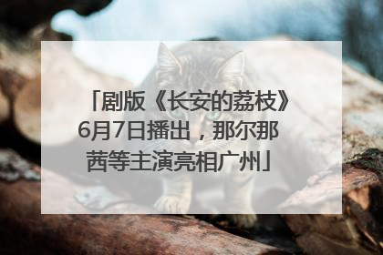 剧版《长安的荔枝》6月7日播出，那尔那茜等主演亮相广州