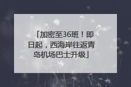加密至36班！即日起，西海岸往返青岛机场巴士升级