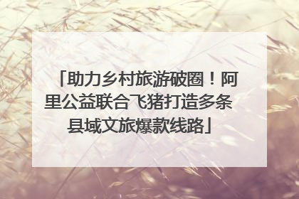 助力乡村旅游破圈！阿里公益联合飞猪打造多条县域文旅爆款线路