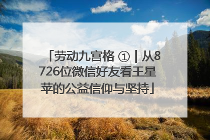 劳动九宫格 ①｜从8726位微信好友看王星苹的公益信仰与坚持