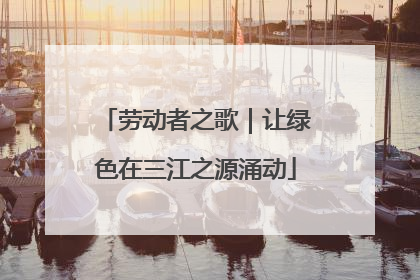 劳动者之歌｜让绿色在三江之源涌动