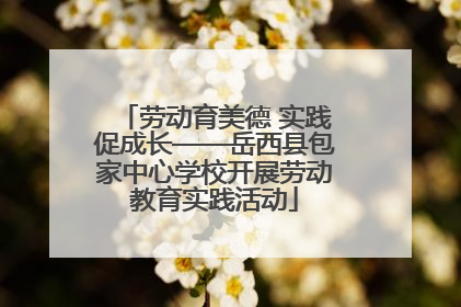劳动育美德 实践促成长——岳西县包家中心学校开展劳动教育实践活动