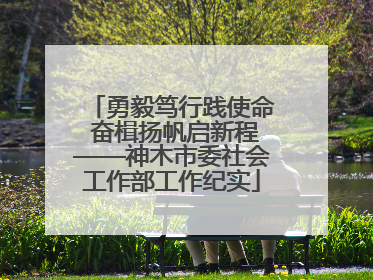 勇毅笃行践使命 奋楫扬帆启新程——神木市委社会工作部工作纪实