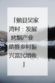 勉县吴家湾村：发展烤烟产业 助推乡村振兴富民增收