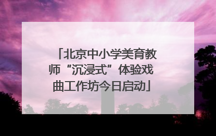 北京中小学美育教师“沉浸式”体验戏曲工作坊今日启动