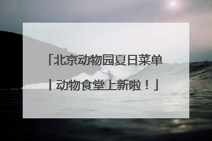 北京动物园夏日菜单丨动物食堂上新啦！