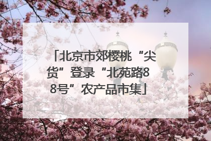北京市郊樱桃“尖货”登录“北苑路88号”农产品市集