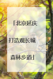 北京延庆打造观长城森林步道