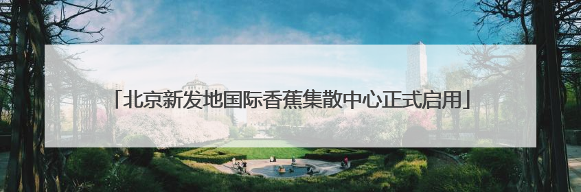 北京新发地国际香蕉集散中心正式启用