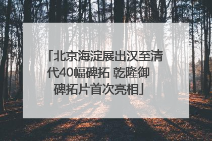 北京海淀展出汉至清代40幅碑拓 乾隆御碑拓片首次亮相