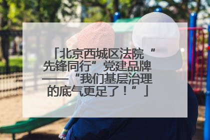 北京西城区法院“先锋同行”党建品牌——“我们基层治理的底气更足了！”
