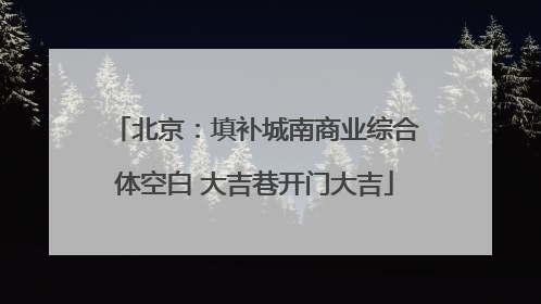 北京：填补城南商业综合体空白 大吉巷开门大吉