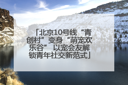 北京10号线“青创村”变身“萌宠欢乐谷” 以宠会友解锁青年社交新范式