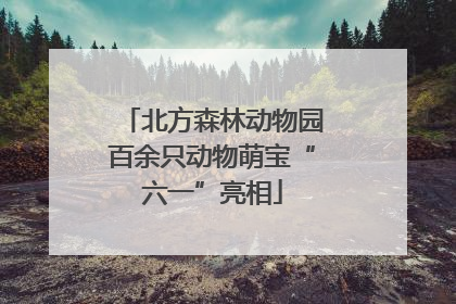 北方森林动物园百余只动物萌宝“六一”亮相
