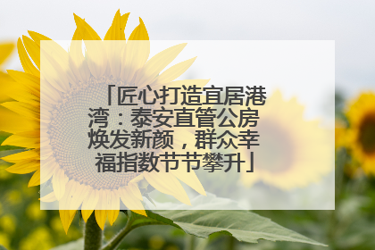 匠心打造宜居港湾：泰安直管公房焕发新颜，群众幸福指数节节攀升