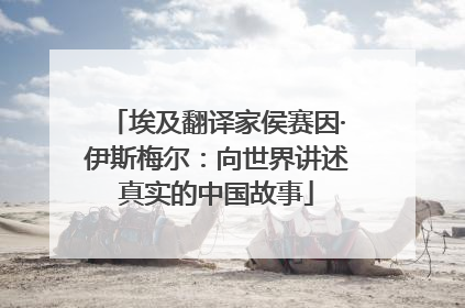 埃及翻译家侯赛因·伊斯梅尔：向世界讲述真实的中国故事