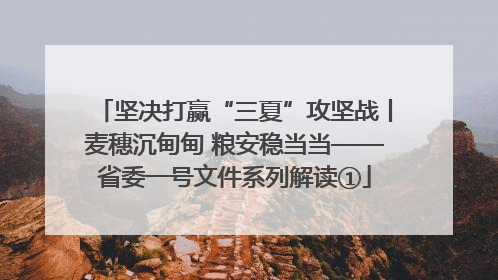 坚决打赢“三夏”攻坚战丨麦穗沉甸甸 粮安稳当当——省委一号文件系列解读①