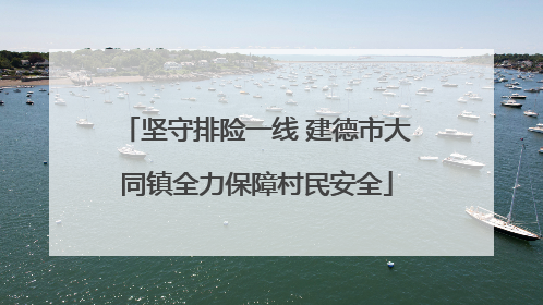 坚守排险一线 建德市大同镇全力保障村民安全