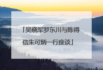 吴晓军罗东川与陈得信朱可炳一行座谈