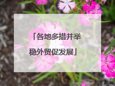 各地多措并举稳外贸促发展
