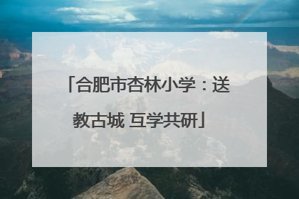 合肥市杏林小学：送教古城 互学共研