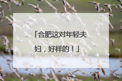 合肥这对年轻夫妇，好样的！
